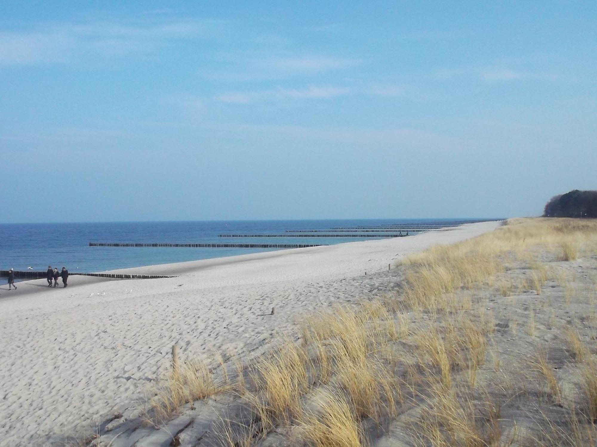 Apartmán Moewe App 510 Zingst Exteriér fotografie